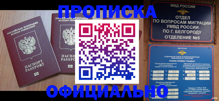 найти адрес прописки в Курганской области